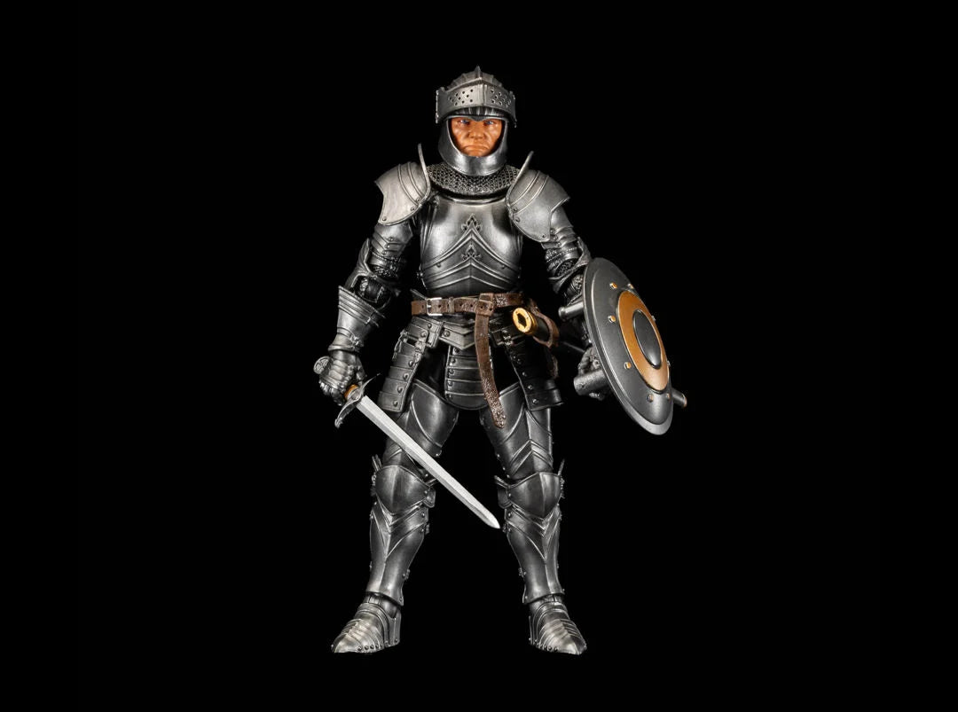 [$34.99] Reinforcements 3 Valiant Knight 2 Legion Builder Action Figure