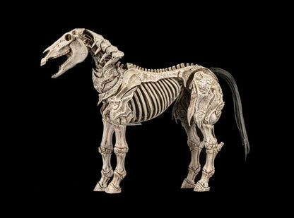 [$49.99] Reinforcements 3 Skeleton Steed Legion Builder Action Figure