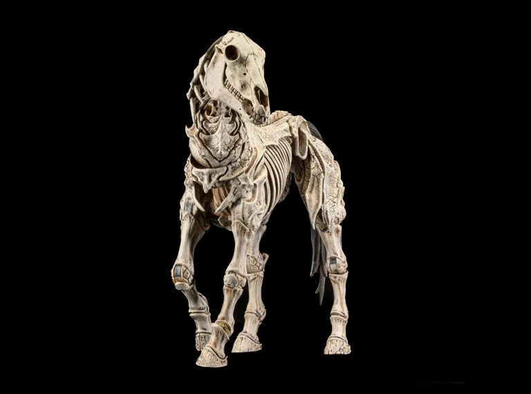 [$49.99] Reinforcements 3 Skeleton Steed Legion Builder Action Figure