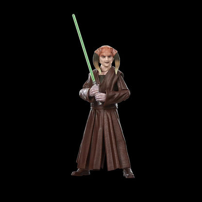 [$29.99] Hasbro Star Wars Black Series Saesee Tiin