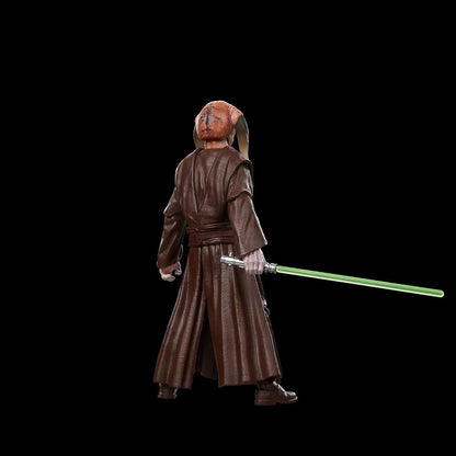[$29.99] Hasbro Star Wars Black Series Saesee Tiin