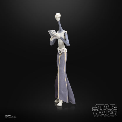 Hasbro Star Wars Black Series 6" Taun We